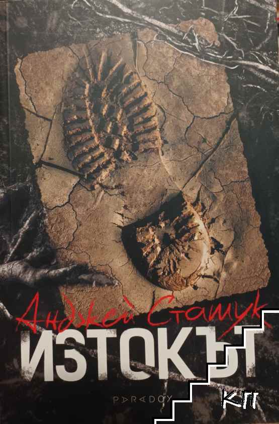 Изтокът