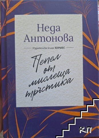 Пепел от мислеща тръстика