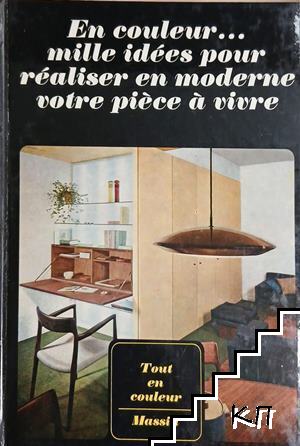 En couleur... mille idées pour réaliser en moderne votre pièce à vivre