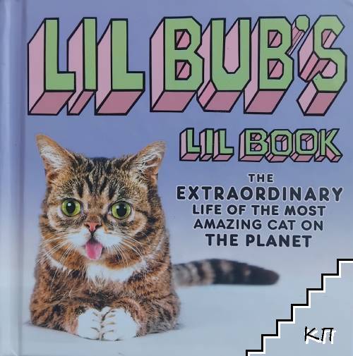 Lil BUB's Lil Book: The Extraordinary Life of the Most Amazing Cat on the Planet