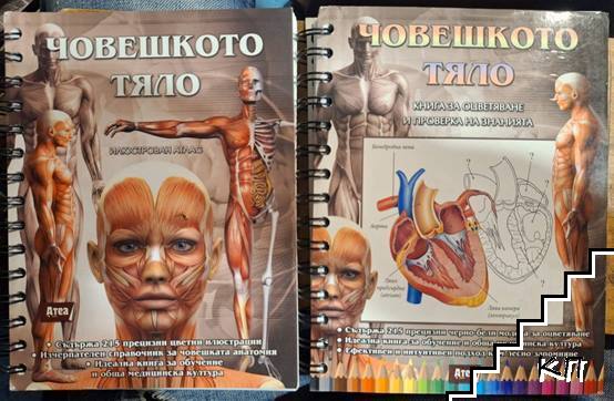 Човешкото тяло: Книга за оцветяване и проверка на знанията / Човешкото тяло: Илюстрован атлас