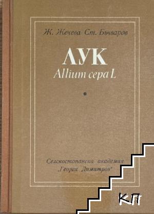 Лук