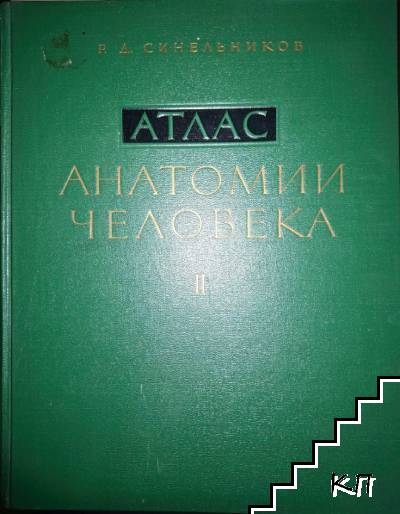 Атлас анатомии человека. Том 2