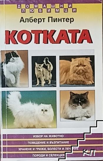 Котката