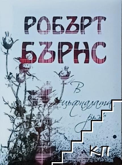 В цъфналата ръж