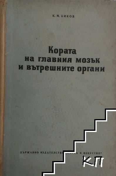 Кората на главния мозък и вътрешните органи