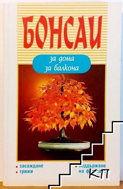 Бонсаи за дома, за балкона