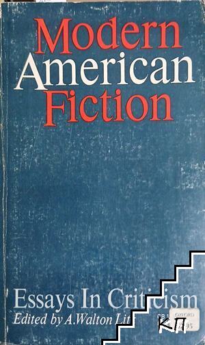 Modern American Fiction: Essays in Criticism
