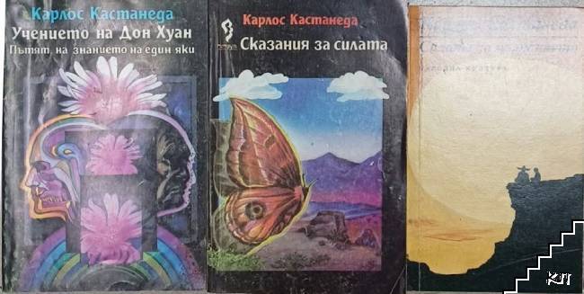 Учението на Дон Хуан / Сказания за силата / Силата на мълчанието