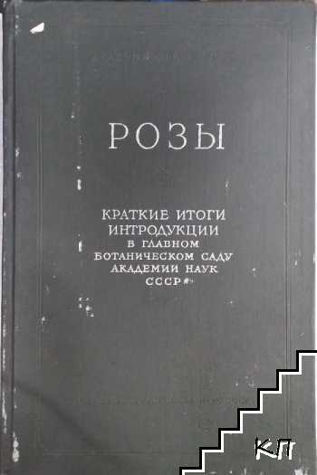 Розы