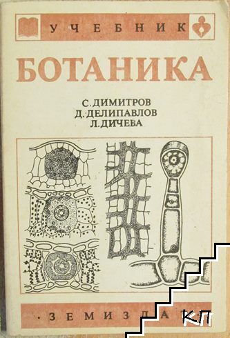 Ботаника