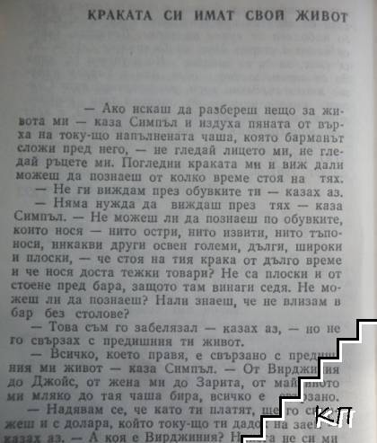Симпъл разказва - снимка 2