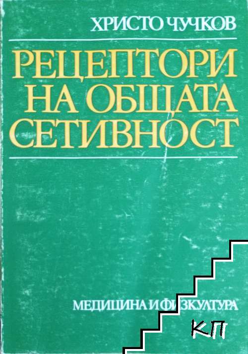 Рецептори на общата сетивност